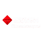 tecnisa